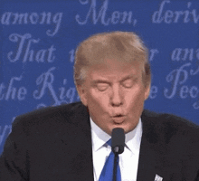 1748109579039.gif