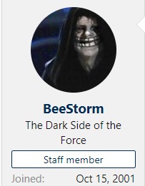 BeeStorm.jpg