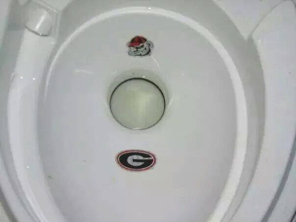 dwag toilet bowl.jpg