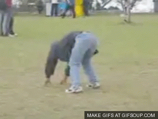 giphy (2)-1.gif