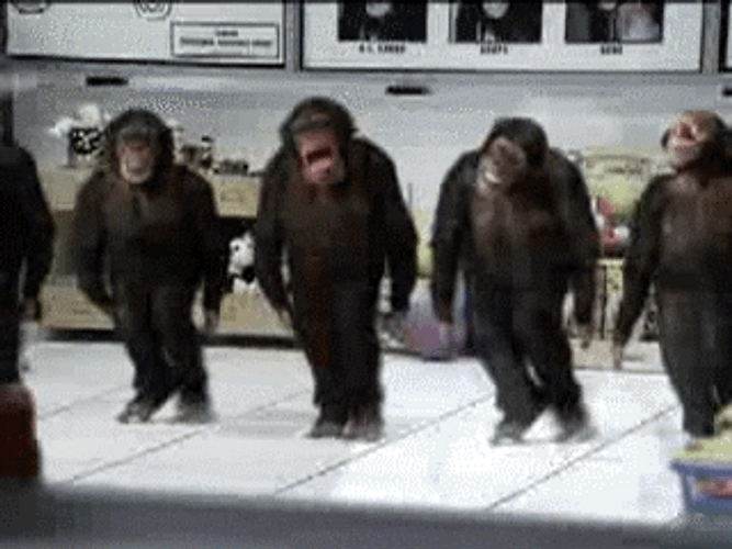 tap-dancing-monkey-speed-i7vbvnwuhya62yqi.gif