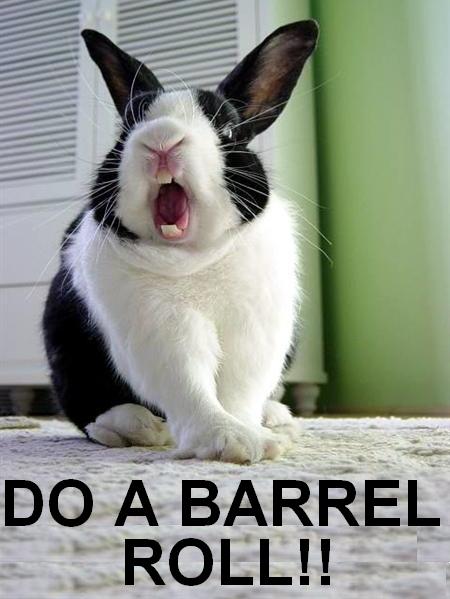 do-a-barrel-roll.jpg