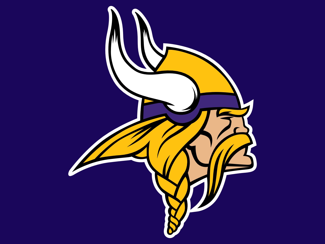 Minnesota_Vikings_2013.jpg