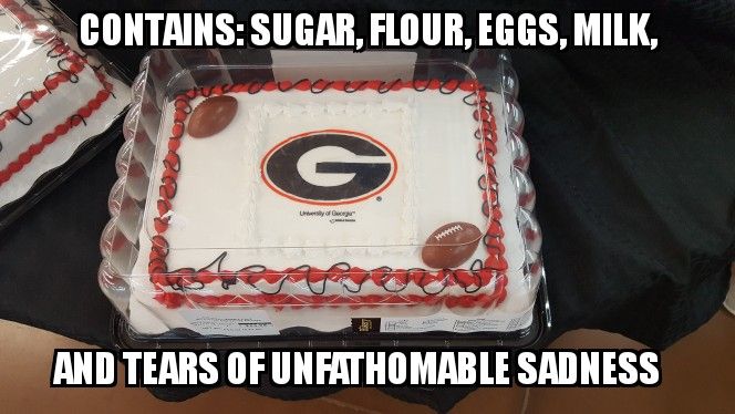 2018%20UGA%20Cake_zpsrzt66wkj.jpg