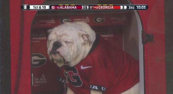 sad-uga.jpg