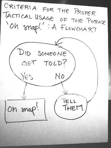 oh_snap_flowchart_sm.jpg