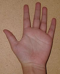 200px-TheHumanHand.jpg