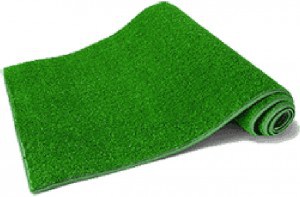 astroturf1-300x197.jpg