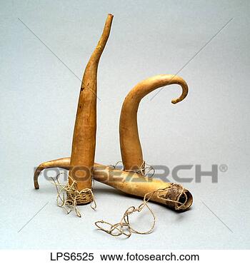 sgm47819-three-penis_~LPS6525.jpg