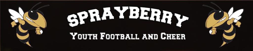 sprayberry_youth_football_and_cheer_2012_large.jpg