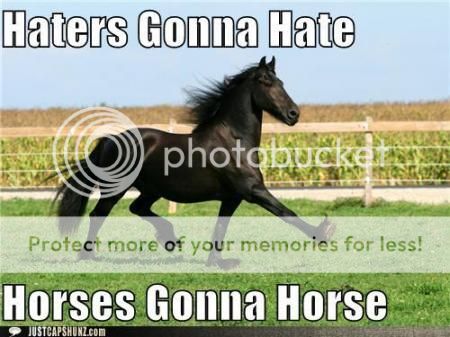 funny-captions-haters-gonna-hate-horses-gonna-horse.jpg