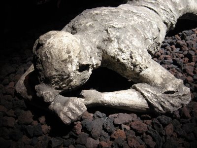 pompeii-ash-person.jpg