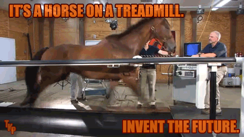 horse-treadmill-invent-the-future.gif