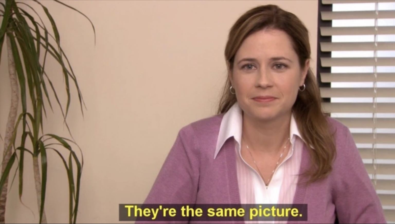 theyre-the-same-picture-pam-the-office-meme-1536x871.png
