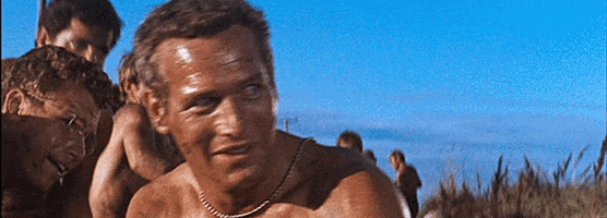 Cool Hand Luke GIFs - Find & Share on GIPHY
